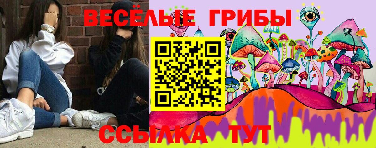 Псилоцибиновые грибы Cubensis  Вход с VPN  Галлюциногенные грибы Magic Shrooms  где найти наркотики  Артём 
